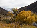 Death Valley 045 : Vermont Canoe Spring